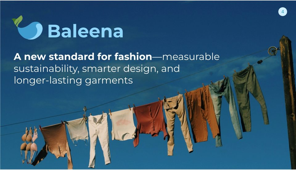 Baleena brand-era deck slide: The vision